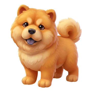 Chow Chow