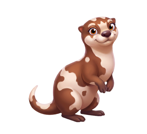 Pied Otter