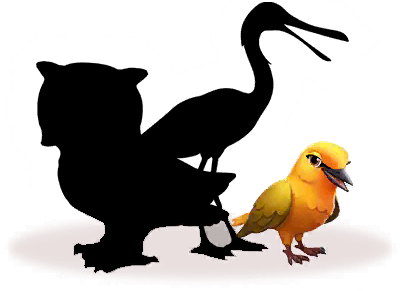 African Avians