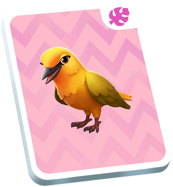 Orange Weaver Card