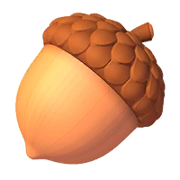 2x Acorn